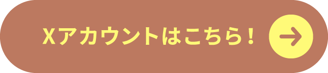 Xアカウントはこちら！